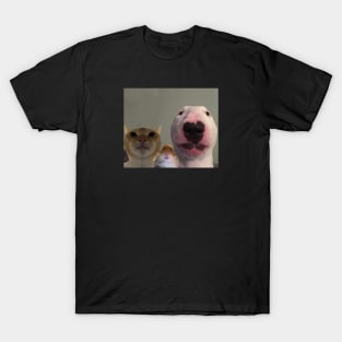 3 Little Dudes Looking At You T-Shirt